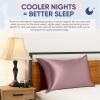 image:imageBlissy Silk Pillowcase  100 Pure Mulberry Silk  22 Momme 6A HighGrade Fibers  Silk Pillow Cover for Hair amp Skin  Regular Queen amp King Blissy White KingPlum