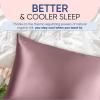 image:imageBlissy Silk Pillowcase  100 Pure Mulberry Silk  22 Momme 6A HighGrade Fibers  Silk Pillow Cover for Hair amp Skin  Regular Queen amp King Blissy White StandardPlum