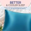 image:imageBlissy Silk Pillowcase  100 Pure Mulberry Silk  22 Momme 6A HighGrade Fibers  Silk Pillow Cover for Hair amp Skin  Regular Queen amp King Blissy White KingAqua