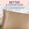 image:imageBlissy Silk Pillowcase  100 Pure Mulberry Silk  22 Momme 6A HighGrade Fibers  Silk Pillow Cover for Hair amp Skin  Regular Queen amp King Blissy White StandardTaupe