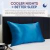 image:imageBlissy Silk Pillowcase  100 Pure Mulberry Silk  22 Momme 6A HighGrade Fibers  Silk Pillow Cover for Hair amp Skin  Regular Queen amp King Blissy White KingAqua