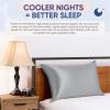 image:imageBlissy Silk Pillowcase  100 Pure Mulberry Silk  22 Momme 6A HighGrade Fibers  Silk Pillow Cover for Hair amp Skin  Regular Queen amp King Blissy White KingSilver