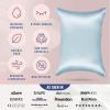 image:imageBlissy Silk Pillowcase  100 Pure Mulberry Silk  22 Momme 6A HighGrade Fibers  Silk Pillow Cover for Hair amp Skin  Regular Queen amp King Blissy White StandardSky Blue