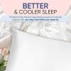 image:imageBlissy Silk Pillowcase  100 Pure Mulberry Silk  22 Momme 6A HighGrade Fibers  Silk Pillow Cover for Hair amp Skin  Regular Queen amp King Blissy White StandardBlissy White