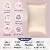 image:imageBlissy Silk Pillowcase  100 Pure Mulberry Silk  22 Momme 6A HighGrade Fibers  Silk Pillow Cover for Hair amp Skin  Regular Queen amp King Blissy White StandardChampagne