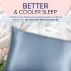 image:imageBlissy Silk Pillowcase  100 Pure Mulberry Silk  22 Momme 6A HighGrade Fibers  Silk Pillow Cover for Hair amp Skin  Regular Queen amp King Blissy White StandardAsh Blue