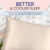 image:imageBlissy Silk Pillowcase  100 Pure Mulberry Silk  22 Momme 6A HighGrade Fibers  Silk Pillow Cover for Hair amp Skin  Regular Queen amp King Blissy White StandardChampagne