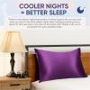 image:imageBlissy Silk Pillowcase  100 Pure Mulberry Silk  22 Momme 6A HighGrade Fibers  Silk Pillow Cover for Hair amp Skin  Regular Queen amp King Blissy White StandardRoyal Purple