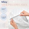 image:imageBlissy Silk Pillowcase  100 Pure Mulberry Silk  22 Momme 6A HighGrade Fibers  Silk Pillow Cover for Hair amp Skin  Regular Queen amp King Blissy White KingWhite Striped
