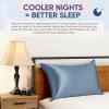 image:imageBlissy Silk Pillowcase  100 Pure Mulberry Silk  22 Momme 6A HighGrade Fibers  Silk Pillow Cover for Hair amp Skin  Regular Queen amp King Blissy White KingAsh Blue