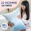 image:imageBlissy Silk Pillowcase  100 Pure Mulberry Silk  22 Momme 6A HighGrade Fibers  Silk Pillow Cover for Hair amp Skin  Regular Queen amp King Blissy White StandardSky Blue