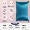 image:imageBlissy Silk Pillowcase  100 Pure Mulberry Silk  22 Momme 6A HighGrade Fibers  Silk Pillow Cover for Hair amp Skin  Regular Queen amp King Blissy White KingAqua