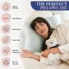 image:imageBlissy Silk Pillowcase  100 Pure Mulberry Silk  22 Momme 6A HighGrade Fibers  Silk Pillow Cover for Hair amp Skin  Regular Queen amp King Blissy White StandardMint