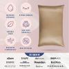 image:imageBlissy Silk Pillowcase  100 Pure Mulberry Silk  22 Momme 6A HighGrade Fibers  Silk Pillow Cover for Hair amp Skin  Regular Queen amp King Blissy White StandardTaupe