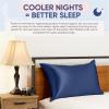 image:imageBlissy Silk Pillowcase  100 Pure Mulberry Silk  22 Momme 6A HighGrade Fibers  Silk Pillow Cover for Hair amp Skin  Regular Queen amp King Blissy White StandardBlue