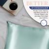 image:imageBlissy Silk Pillowcase  100 Pure Mulberry Silk  22 Momme 6A HighGrade Fibers  Silk Pillow Cover for Hair amp Skin  Regular Queen amp King Blissy White StandardMint