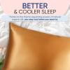 image:imageBlissy Silk Pillowcase  100 Pure Mulberry Silk  22 Momme 6A HighGrade Fibers  Silk Pillow Cover for Hair amp Skin  Regular Queen amp King Silver StandardGold