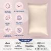 image:imageBlissy Silk Pillowcase  100 Pure Mulberry Silk  22 Momme 6A HighGrade Fibers  Silk Pillow Cover for Hair amp Skin  Regular Queen amp King Silver StandardChampagne