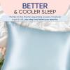image:imageBlissy Silk Pillowcase  100 Pure Mulberry Silk  22 Momme 6A HighGrade Fibers  Silk Pillow Cover for Hair amp Skin  Regular Queen amp King Silver StandardSky Blue