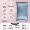 image:imageBlissy Silk Pillowcase  100 Pure Mulberry Silk  22 Momme 6A HighGrade Fibers  Silk Pillow Cover for Hair amp Skin  Regular Queen amp King Silver StandardAsh Blue