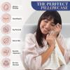 image:imageBlissy Silk Pillowcase  100 Pure Mulberry Silk  22 Momme 6A HighGrade Fibers  Silk Pillow Cover for Hair amp Skin  Regular Queen amp King Silver StandardWhite Striped