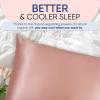 image:imageBlissy Silk Pillowcase  100 Pure Mulberry Silk  22 Momme 6A HighGrade Fibers  Silk Pillow Cover for Hair amp Skin  Regular Queen amp King Silver StandardRose Gold