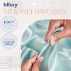 image:imageBlissy Silk Pillowcase  100 Pure Mulberry Silk  22 Momme 6A HighGrade Fibers  Silk Pillow Cover for Hair amp Skin  Regular Queen amp King Silver StandardMint