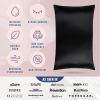 image:imageBlissy Silk Pillowcase  100 Pure Mulberry Silk  22 Momme 6A HighGrade Fibers  Silk Pillow Cover for Hair amp Skin  Regular Queen amp King Silver StandardBlack