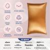 image:imageBlissy Silk Pillowcase  100 Pure Mulberry Silk  22 Momme 6A HighGrade Fibers  Silk Pillow Cover for Hair amp Skin  Regular Queen amp King Silver StandardGold