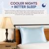 image:imageBlissy Silk Pillowcase  100 Pure Mulberry Silk  22 Momme 6A HighGrade Fibers  Silk Pillow Cover for Hair amp Skin  Regular Queen amp King Silver StandardSky Blue