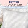 image:imageBlissy Silk Pillowcase  100 Pure Mulberry Silk  22 Momme 6A HighGrade Fibers  Silk Pillow Cover for Hair amp Skin  Regular Queen amp King Silver StandardWhite Striped