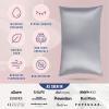 image:imageBlissy Silk Pillowcase  100 Pure Mulberry Silk  22 Momme 6A HighGrade Fibers  Silk Pillow Cover for Hair amp Skin  Regular Queen amp King Silver StandardSilver