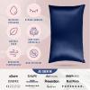 image:imageBlissy Silk Pillowcase  100 Pure Mulberry Silk  22 Momme 6A HighGrade Fibers  Silk Pillow Cover for Hair amp Skin  Regular Queen amp King Silver StandardBlue