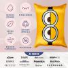 image:imageBlissy Silk Pillowcase  100 Pure Mulberry Silk  22 Momme 6A HighGrade Fibers  Silk Pillow Cover for Hair amp Skin  Regular Queen amp King Silver StandardMinion