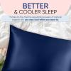 image:imageBlissy Silk Pillowcase  100 Pure Mulberry Silk  22 Momme 6A HighGrade Fibers  Silk Pillow Cover for Hair amp Skin  Regular Queen amp King Silver StandardBlue