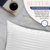 image:imageBlissy Silk Pillowcase  100 Pure Mulberry Silk  22 Momme 6A HighGrade Fibers  Silk Pillow Cover for Hair amp Skin  Regular Queen amp King Silver StandardWhite Striped