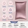 image:imageBlissy Silk Pillowcase  100 Pure Mulberry Silk  22 Momme 6A HighGrade Fibers  Silk Pillow Cover for Hair amp Skin  Regular Queen amp King Silver StandardPlum