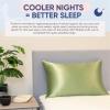 image:imageBlissy Silk Pillowcase  100 Pure Mulberry Silk  22 Momme 6A HighGrade Fibers  Silk Pillow Cover for Hair amp Skin  Regular Queen amp King Silver StandardOlive