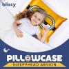 image:imageBlissy Toddler Silk Pillowcase  100 Pure Mulberry Silk  22 Momme 6A HighGrade Fibers  Soft and Gentle Silk Pillowcase for Kids Hair and Skin Standard 20 x 26 in UnicornMinion