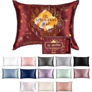 image:imageBlissy Silk Pillowcase  100 Pure Mulberry Silk  22 Momme 6A HighGrade Fibers  Silk Pillow Cover for Hair amp Skin  Regular Queen amp King Blissy White StandardHarry Potter  Marauders Map