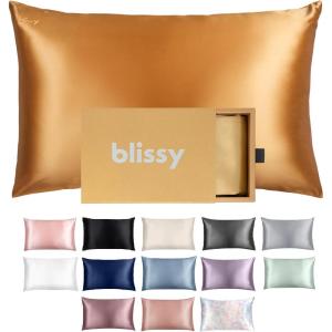 image:imageBlissy Silk Pillowcase  100 Pure Mulberry Silk  22 Momme 6A HighGrade Fibers  Silk Pillow Cover for Hair amp Skin  Regular Queen amp King Blissy White KingGold