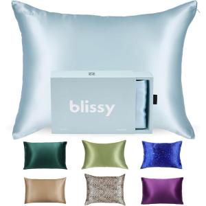 image:imageBlissy Silk Pillowcase  100 Pure Mulberry Silk  22 Momme 6A HighGrade Fibers  Silk Pillow Cover for Hair amp Skin  Regular Queen amp King Silver StandardSky Blue