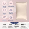 image:imageBlissy Silk Pillowcase  100 Pure Mulberry Silk  22 Momme 6A HighGrade Fibers  Silk Pillow Cover for Hair amp Skin  Regular Queen amp King Emerald StandardChampagne