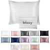 image:imageBlissy Silk Pillowcase  100 Pure Mulberry Silk  22 Momme 6A HighGrade Fibers  Silk Pillow Cover for Hair amp Skin  Regular Queen amp King Emerald StandardWhite Striped