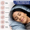 image:imageBlissy Silk Pillowcase  100 Pure Mulberry Silk  22 Momme 6A HighGrade Fibers  Silk Pillow Cover for Hair amp Skin  Regular Queen amp King Emerald StandardAsh Blue