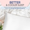 image:imageBlissy Silk Pillowcase  100 Pure Mulberry Silk  22 Momme 6A HighGrade Fibers  Silk Pillow Cover for Hair amp Skin  Regular Queen amp King Emerald StandardBlissy White
