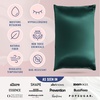 image:imageBlissy Silk Pillowcase  100 Pure Mulberry Silk  22 Momme 6A HighGrade Fibers  Silk Pillow Cover for Hair amp Skin  Regular Queen amp King Emerald StandardEmerald