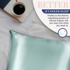 image:imageBlissy Silk Pillowcase  100 Pure Mulberry Silk  22 Momme 6A HighGrade Fibers  Silk Pillow Cover for Hair amp Skin  Regular Queen amp King Emerald StandardMint