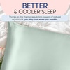 image:imageBlissy Silk Pillowcase  100 Pure Mulberry Silk  22 Momme 6A HighGrade Fibers  Silk Pillow Cover for Hair amp Skin  Regular Queen amp King Emerald StandardMatcha
