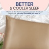 image:imageBlissy Silk Pillowcase  100 Pure Mulberry Silk  22 Momme 6A HighGrade Fibers  Silk Pillow Cover for Hair amp Skin  Regular Queen amp King Emerald StandardTaupe